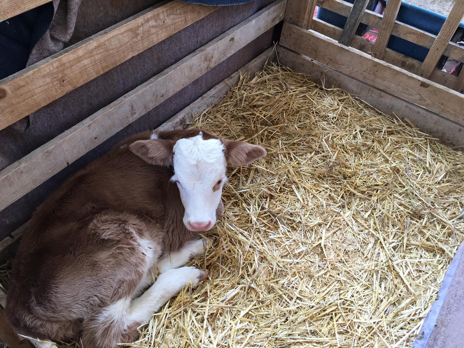 Ürünlerimizi kendi çiftliklerimizden yetiştirmekteyiz.
